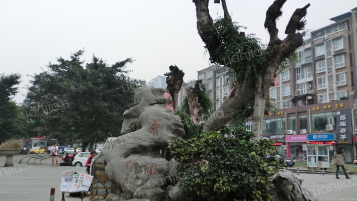 东润风景A区外景图