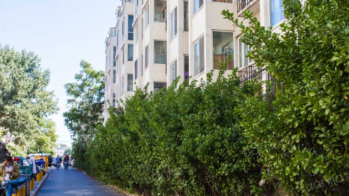 安贞苑50号院外景图