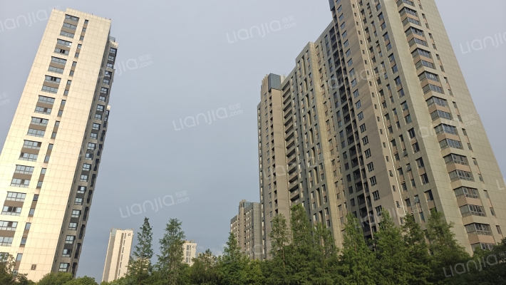 仁恒绿洲新岛江枫园外景图