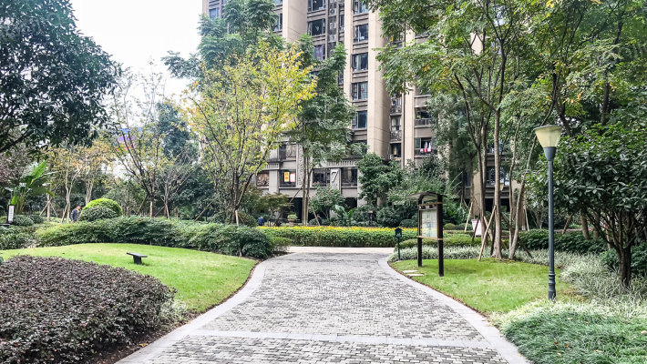 隆鑫西城汇外景图