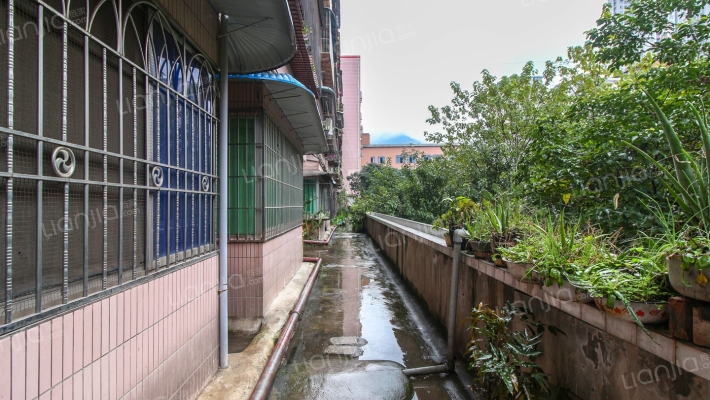 文风路37号外景图