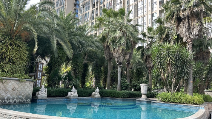 棕榈长滩外景图