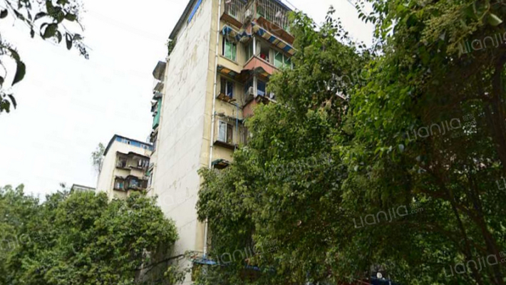 棕苑巷1号院外景图