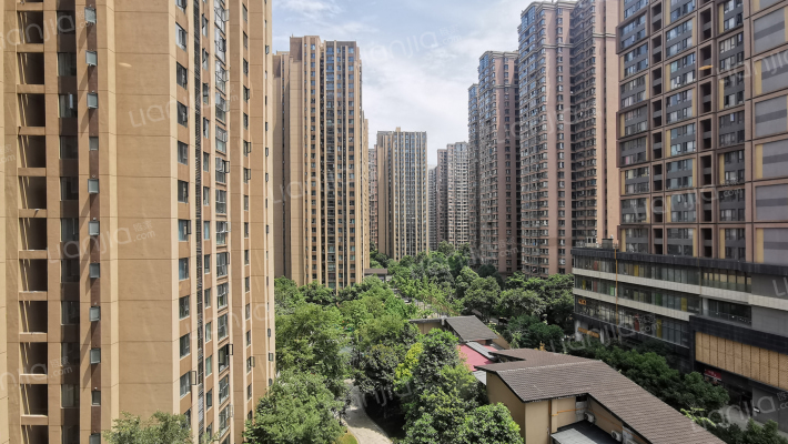 滨江两岸外景图