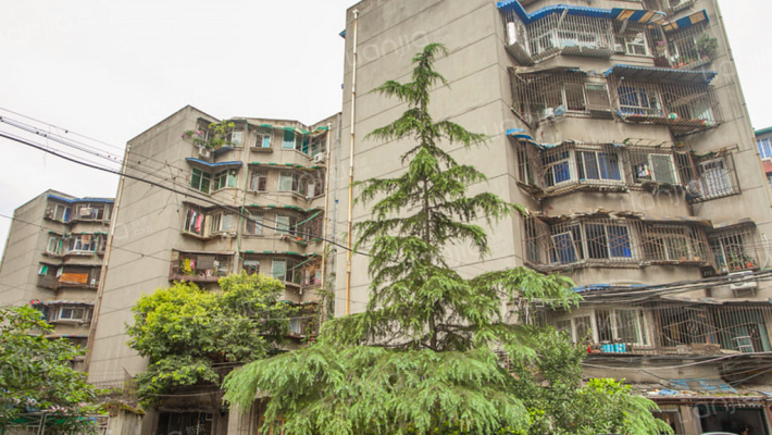 营通街99号外景图