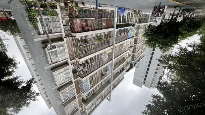 松渝星都花园B区外景图