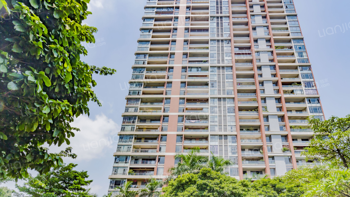 翠堤明珠外景图