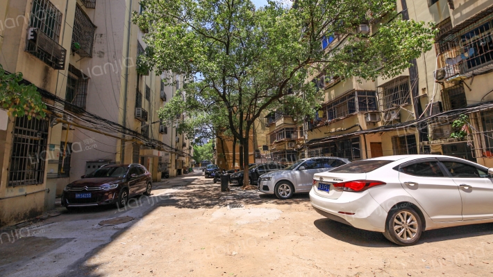 南莲路49号外景图