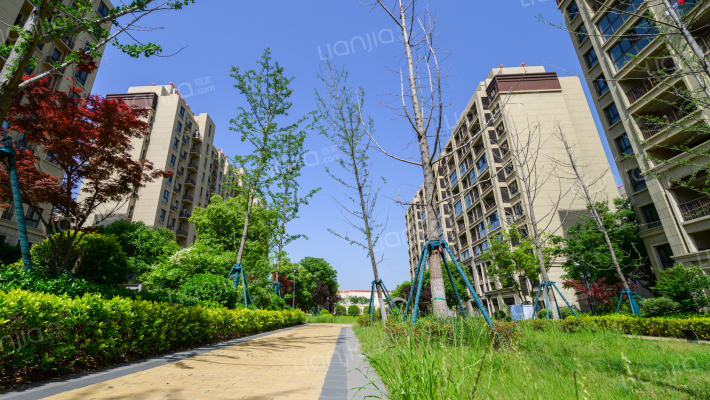 新城．悦隽外景图