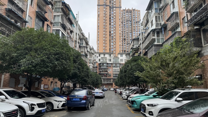 金强柳浪湾1号院外景图