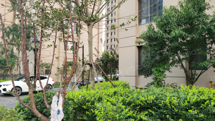 滨海明发广场外景图