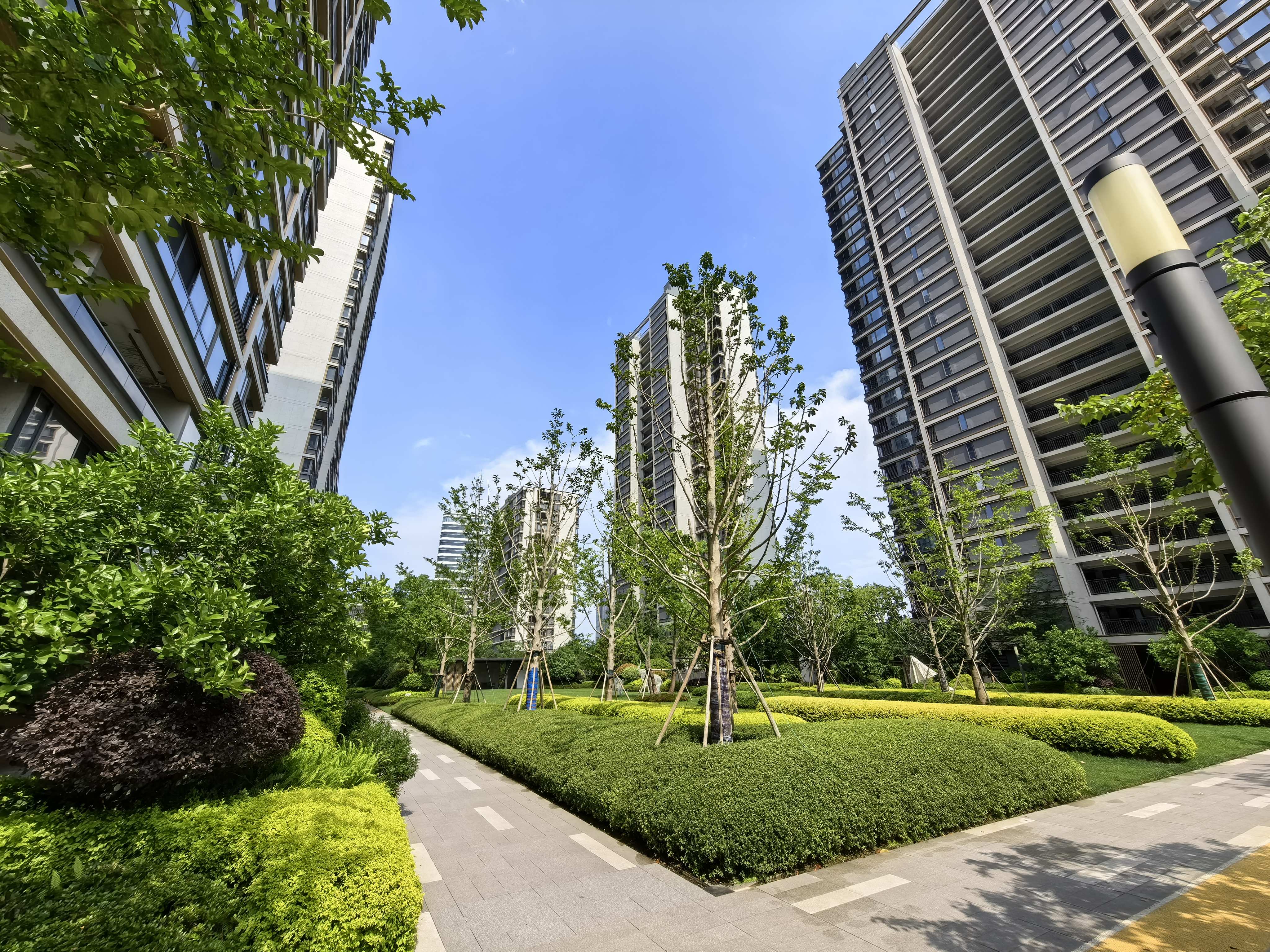 Tiancheng Meizhu compound photo 10