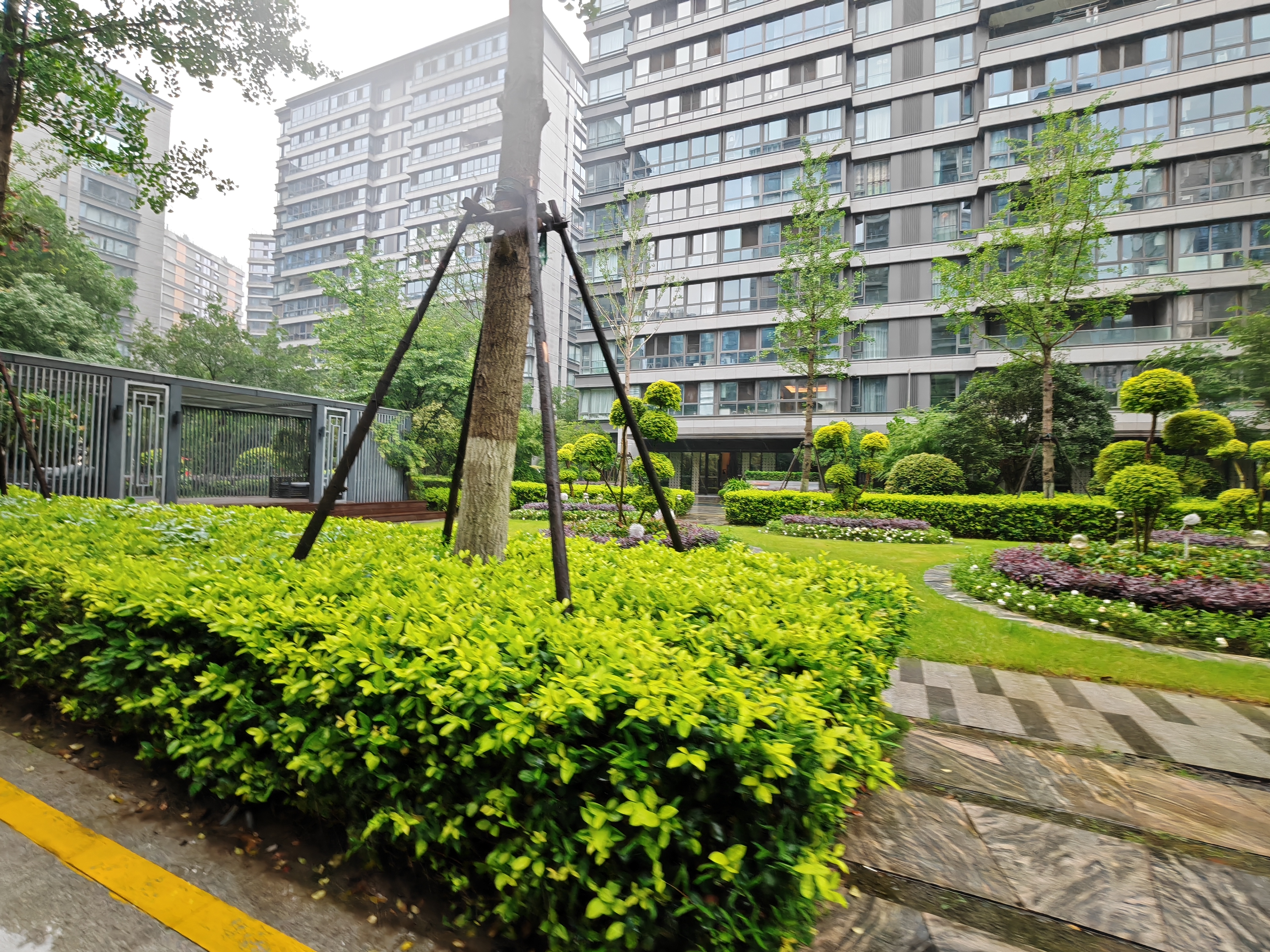 云悦湾小区实景 5