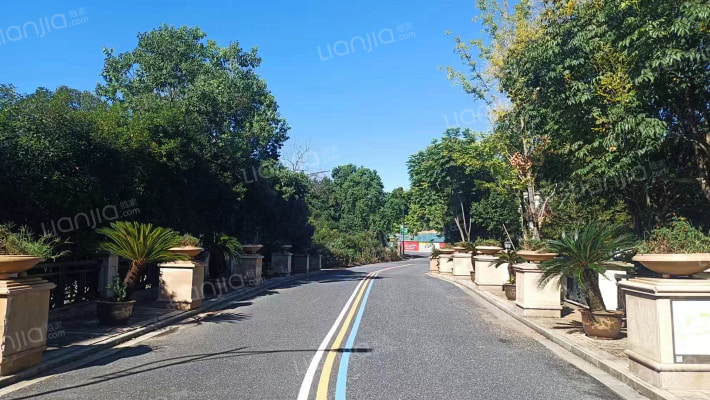 绿野清风外景图