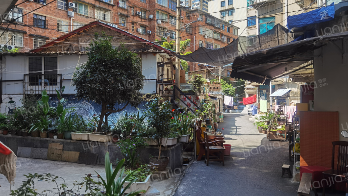 市东村49号外景图