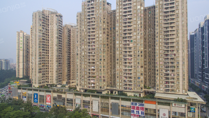 丽晶国际外景图