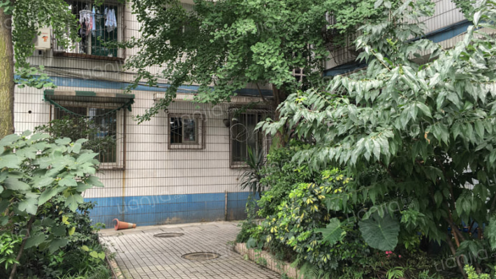 文华路新13号外景图