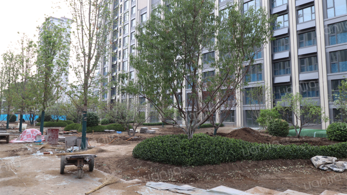 金地·万悦城外景图