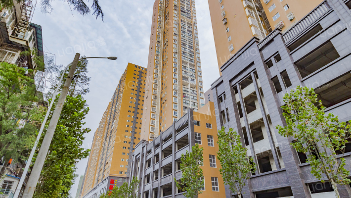 林泰华府外景图