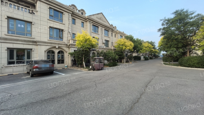 新华常春藤外景图