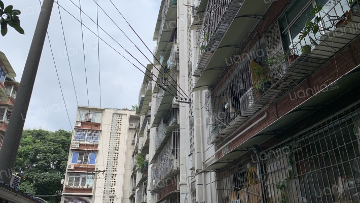 玉林横街15号外景图