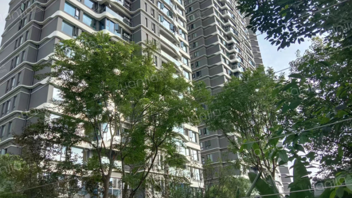 国宾锦麟天玺外景图