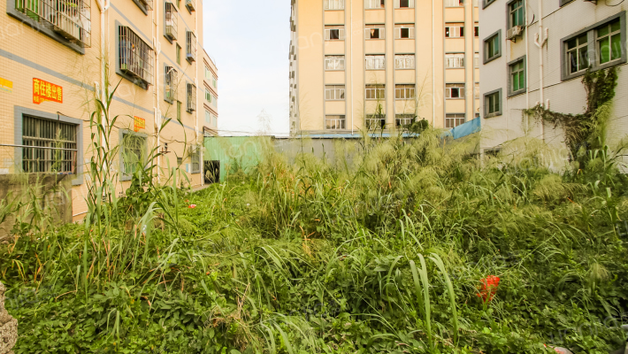 康乐南路045号外景图