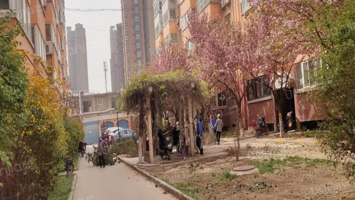 天正花园外景图