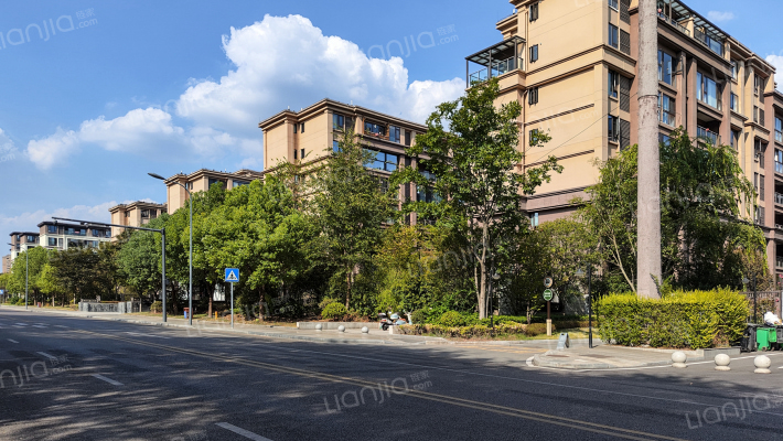 中建湖山印象湖岛墅外景图