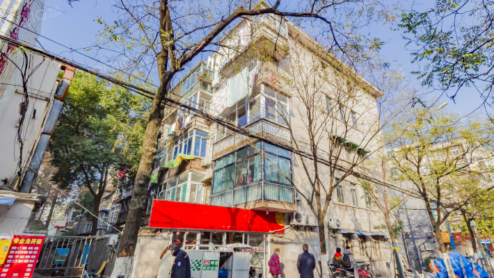 舒城路13号外景图