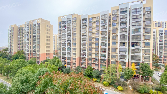 西城西苑外景图