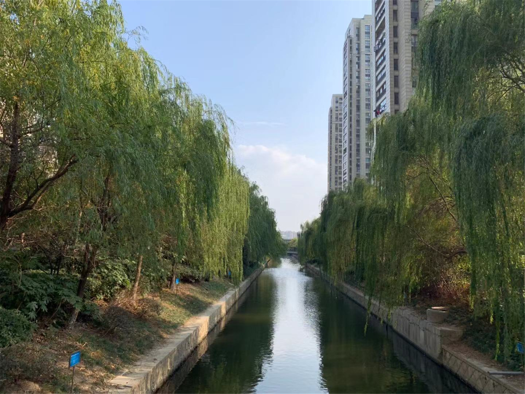 擎天半岛格兰郡小区实景 14