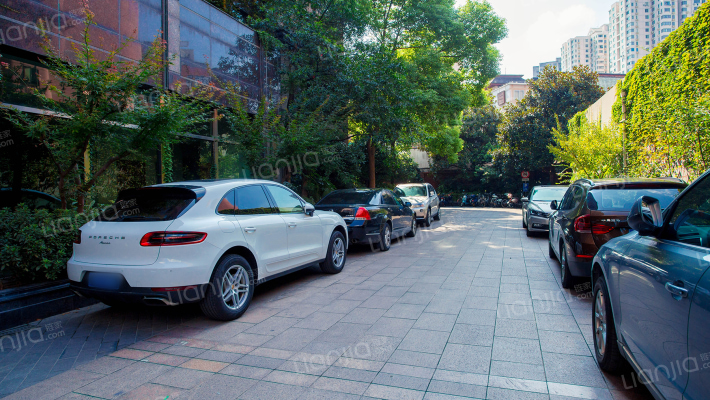 丽致公寓外景图