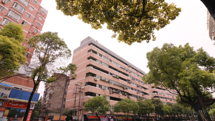 三牌楼大街外景图