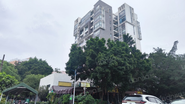 荷塘领会外景图