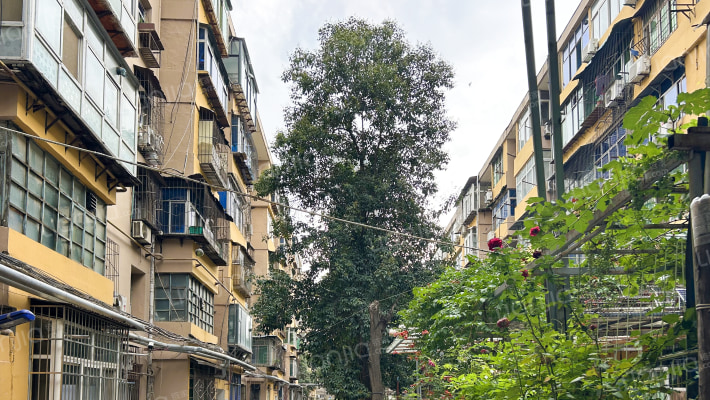 西纺六村外景图