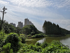 汉北玺园实景图