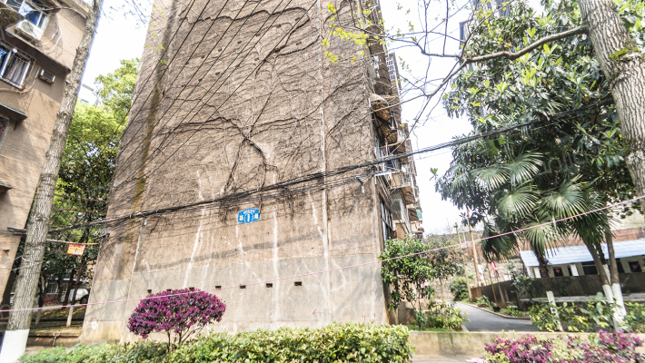 化工医药设计院宿舍外景图