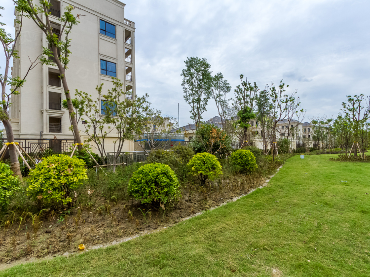 绿地萃雅苑实景图相册