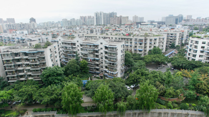 天鹅星座外景图