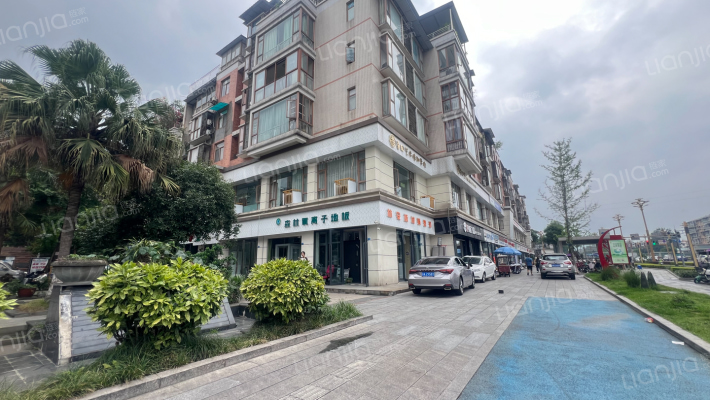 枫林秀色外景图