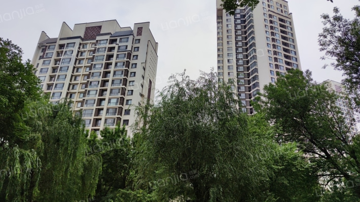 格调竹境外景图