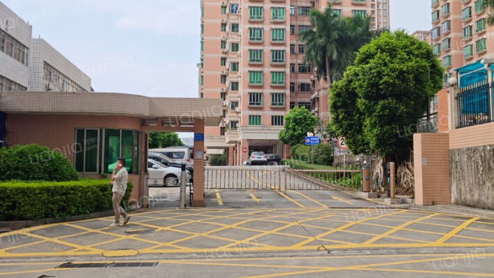 兴塘东平街115号外景图