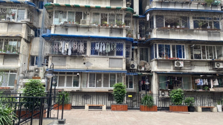 泡桐树公寓外景图