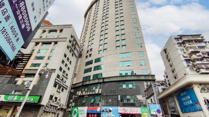 大利嘉城D区外景图