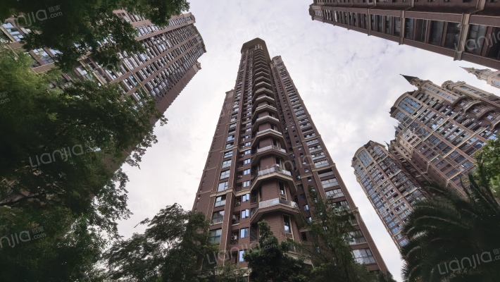 中德英伦联邦D区外景图