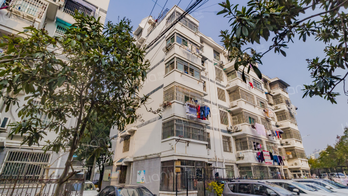 杏林东村外景图