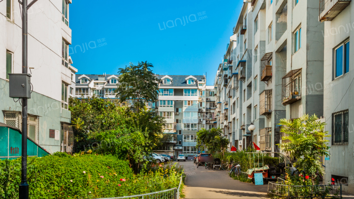 朝阳门北小街外景图