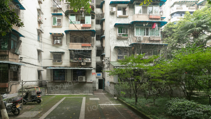 鲤鱼池一村外景图