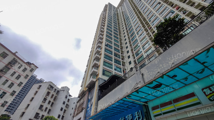 茉莉花开外景图